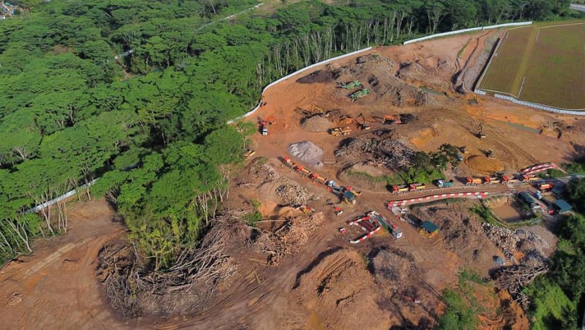 Land earmarked for Agri-Food Innovation Park in Kranji 'erroneously' cleared: JTC Land earmarked for Agri-Food Innovation Park in Kranji 'erroneously' cleared: JTC