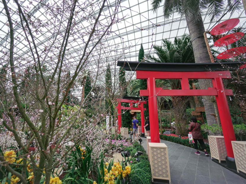 Photo: Gardens by the Bay Photo: Gardens by the Bay