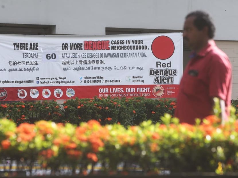 The NEA in a press release on Friday (July 17) said that it has been releasing male Wolbachia-Aedes mosquitoes in phases since 2016 and in this fifth phase of release, a total of 1,455 HDB blocks will be covered across the two neighbourhoods by March 2022. The NEA in a press release on Friday (July 17) said that it has been releasing male Wolbachia-Aedes mosquitoes in phases since 2016 and in this fifth phase of release, a total of 1,455 HDB blocks will be covered across the two neighbourhoods by March 2022.