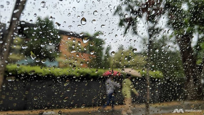 Wet weather to continue for rest of July, with lows of 22°C forecast for some days: MSS Wet weather to continue for rest of July, with lows of 22°C forecast for some days: MSS