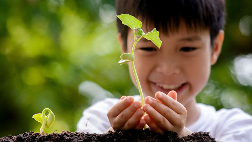 5 ways to teach your kids the importance of sustainability