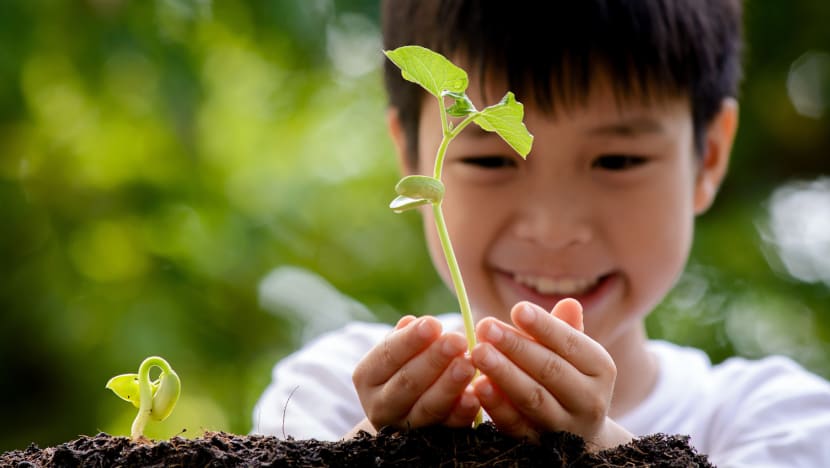 5 ways to teach your kids the importance of sustainability 5 ways to teach your kids the importance of sustainability