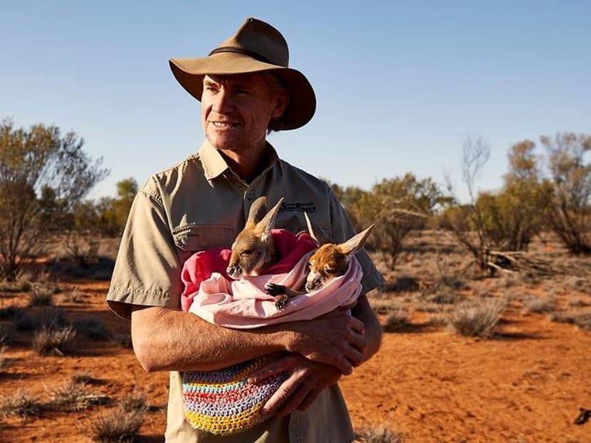 Wildlife encounters, nature tour, wine tasting: Experience Australia in livestream event Wildlife encounters, nature tour, wine tasting: Experience Australia in livestream event