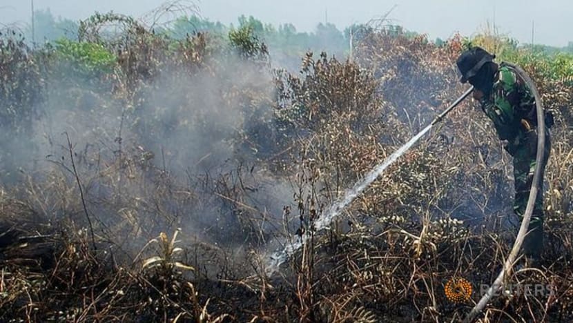 Isu jerebu: Masyarakat Indonesia kian takut bakar hutan setelah kuat kuasa diperketat