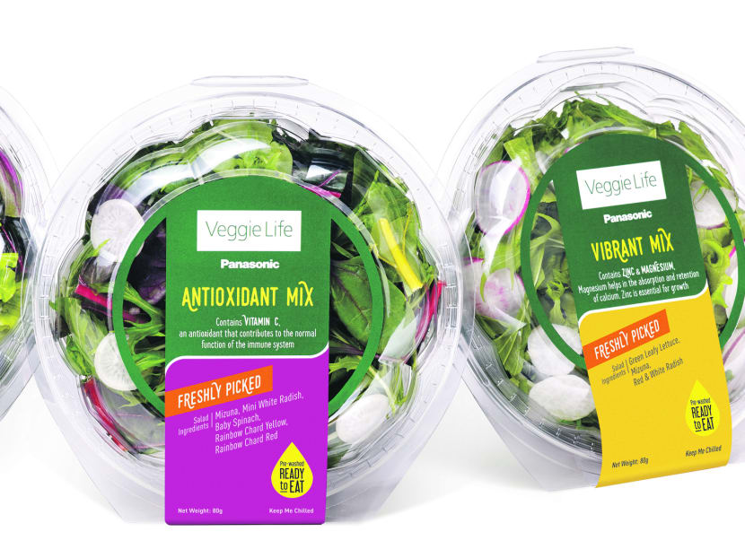 Panasonic launches homegrown salad mixes Panasonic launches homegrown salad mixes