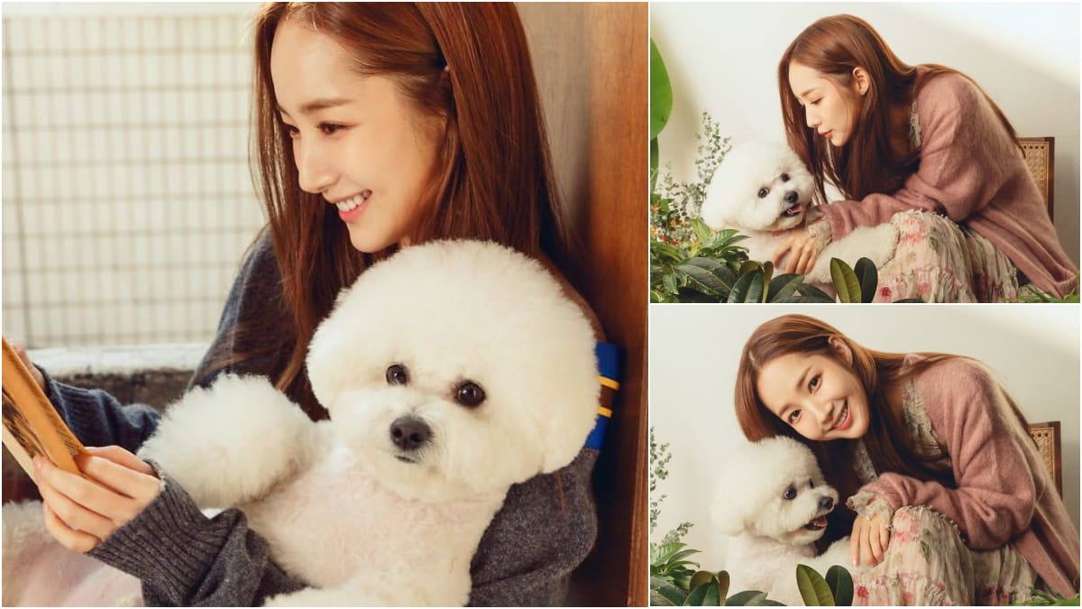 14明星比熊犬 蔡依林 朴叙俊 宋慧乔萌宠超大咖 8world Entertainment Lifestyle