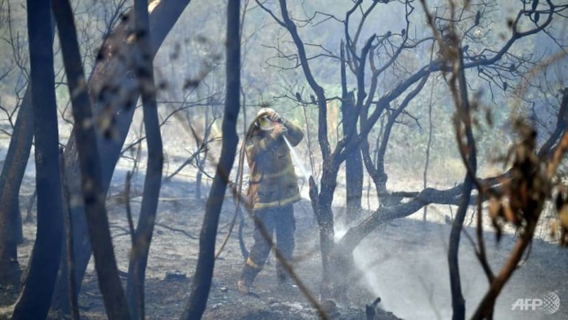 Commentary: The Australian bushfires are straining emergency disaster volunteers