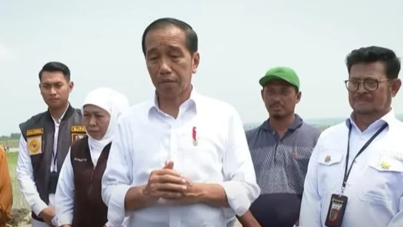 Indonesia akan import 2 juta tan beras hadapi kemungkinan kemarau
