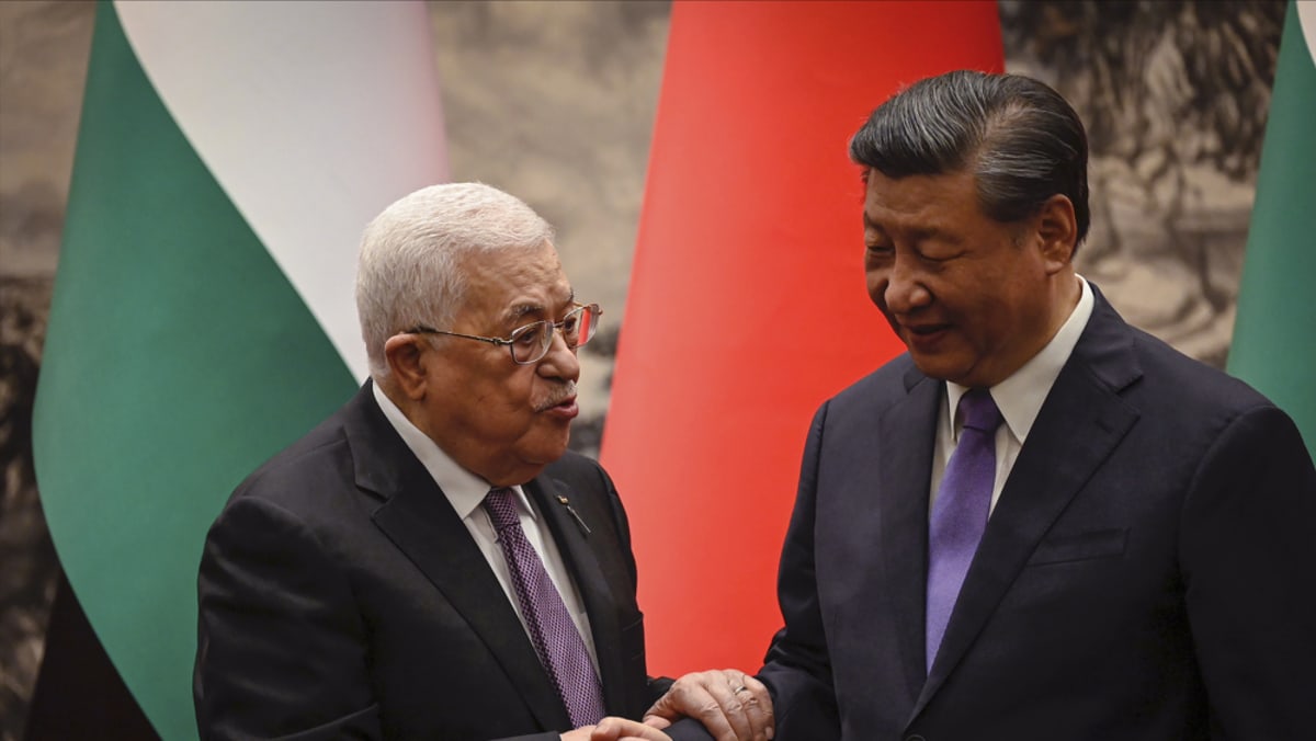 Xi hails establishment of ‘China-Palestine strategic’ ties