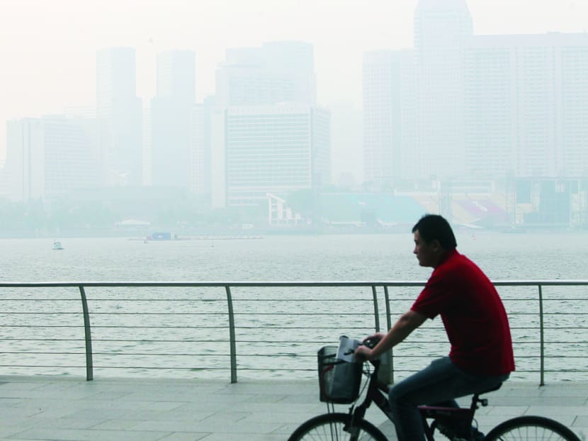 Overall air quality expected to stay in ‘moderate' range for next 24 hours: NEA