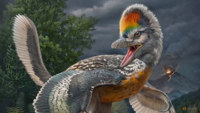 Bizarre' long-legged bird-like dinosaur has scientists enthralled - CNA