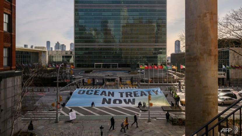 Treaty ahoy? Talks to protect high seas enter last day Treaty ahoy? Talks to protect high seas enter last day