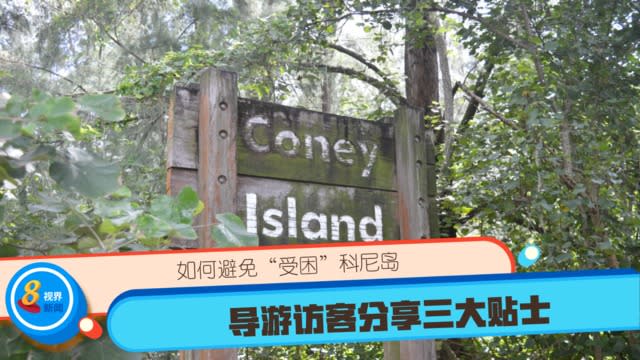 如何避免“受困”科尼岛 导游访客分享三大贴士