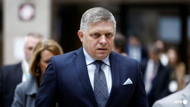 Slovak PM has new surgery, condition 'still very serious'