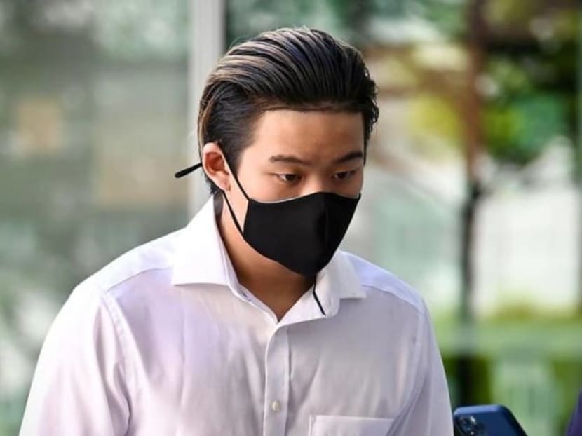 Ralph Wee Yi Kai (pictured), 19, is accused of wantonly causing unnecessary pain and suffering to a frog on Dec 24, 2020 at a Sentosa Cove home.