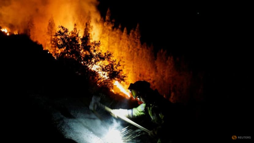 Thousands evacuated as wildfire on Spain's Tenerife island rages on