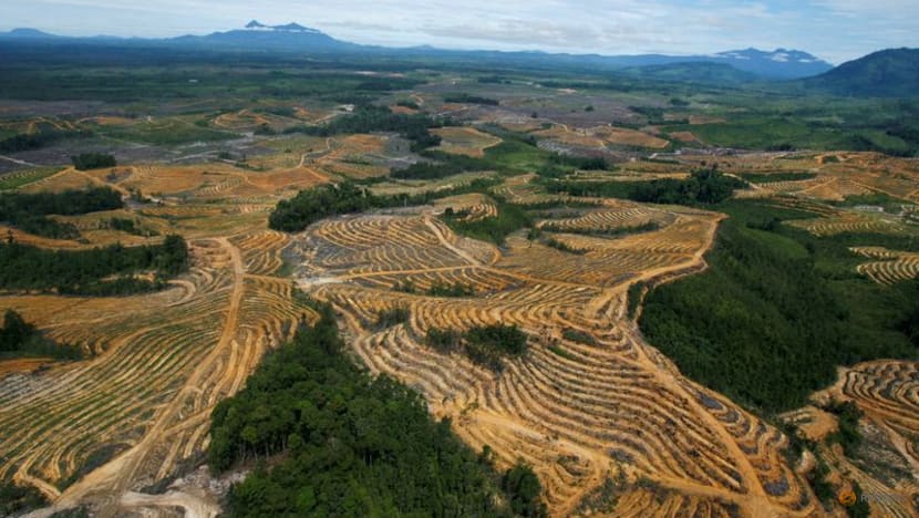 EU agrees law preventing import of goods linked to deforestation EU agrees law preventing import of goods linked to deforestation