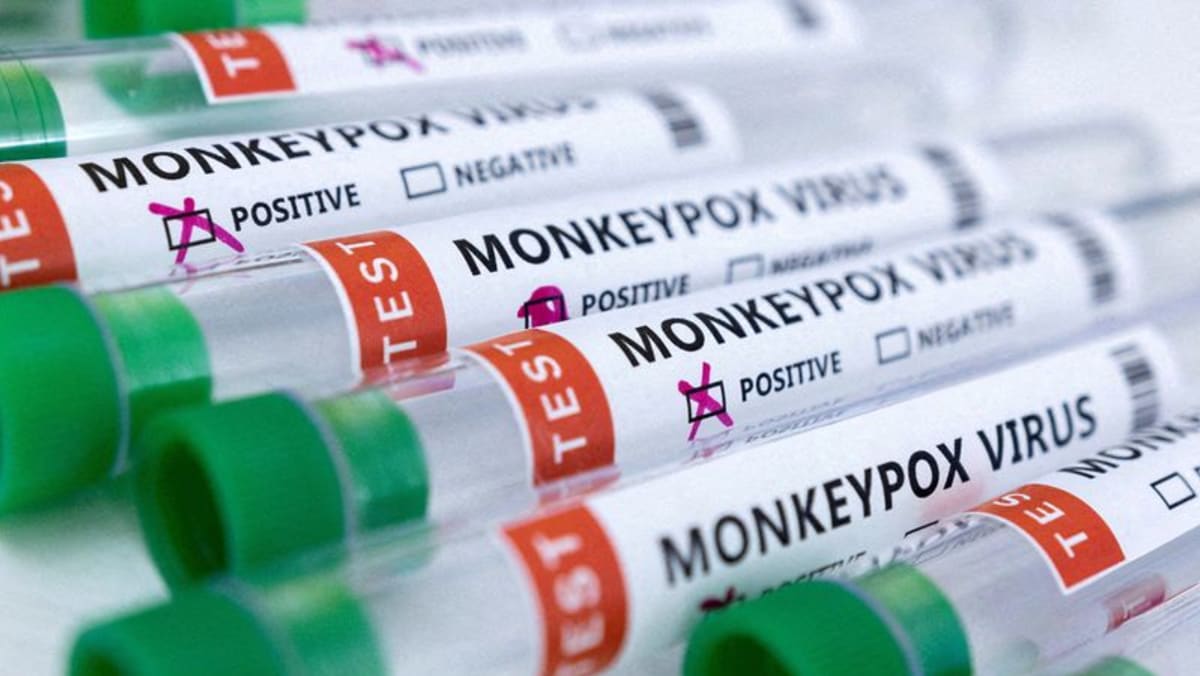 Don’t touch strangers to reduce monkeypox risk, says top Chinese health official