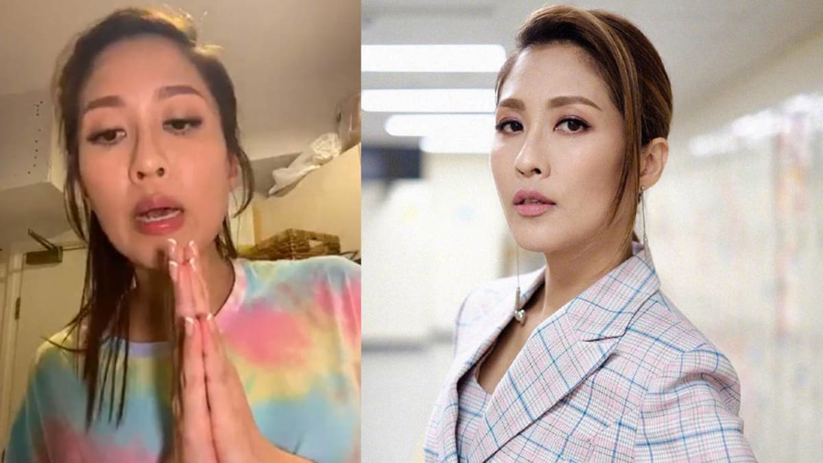 TVB Star Sharon Chan, Accused Of Being ProHongkong Independence 2