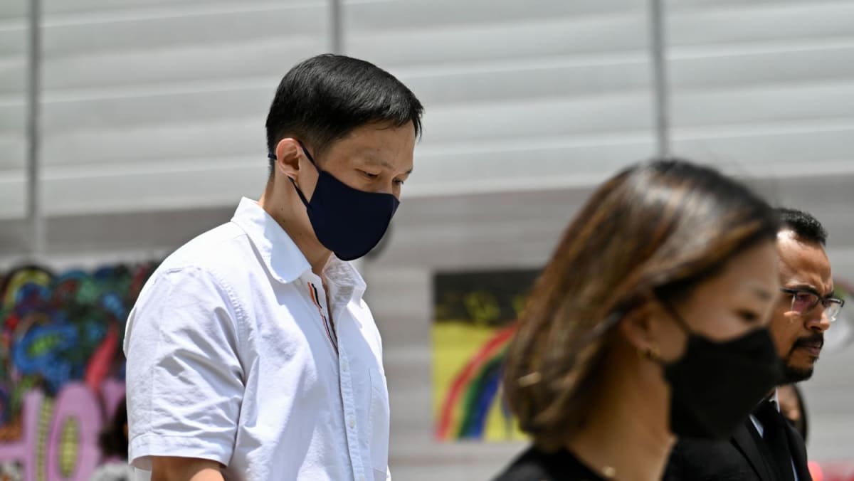 Karl Liew, putra mantan ketua Grup Bandara Changi, mengaku berbohong kepada hakim di persidangan Parti Liyani