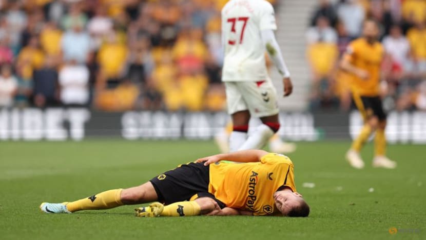 Wolves striker Kalajdzic suffers serious knee injury Wolves striker Kalajdzic suffers serious knee injury