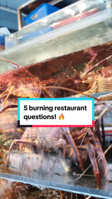 Keith, propietario del restaurante de mariscos Yang Ming, responde 5 preguntas candentes.  #yangmingseafood #8dayseat #dóndecomer #burningquestions #mariscos #cómo ordenar 