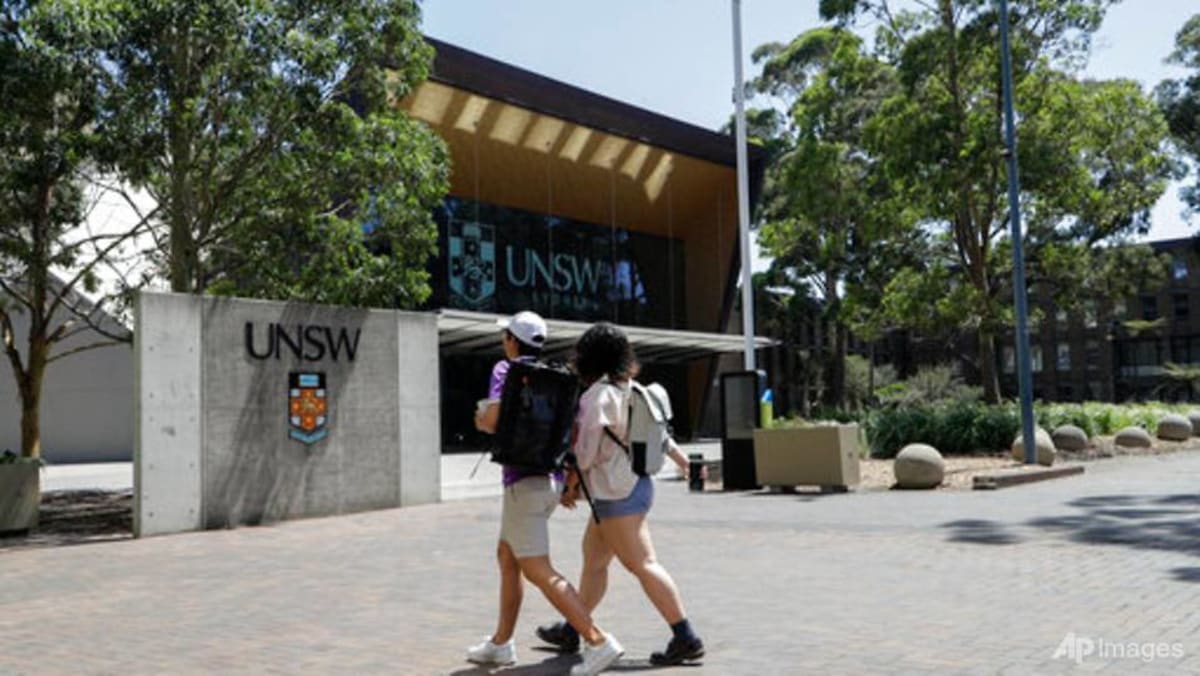 Commentary: International students from China risk being scapegoats for Australia’s housing crisis Commentary: International students from China risk being scapegoats for Australia’s housing crisis