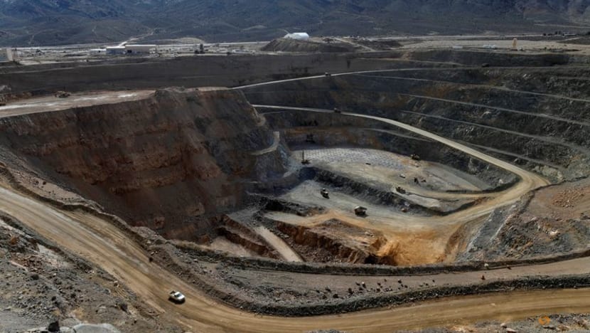 China metals export curbs lift shares in US producer MP Materials