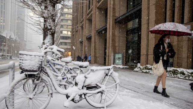 东京积雪达10厘米 超过200人因滑倒入院