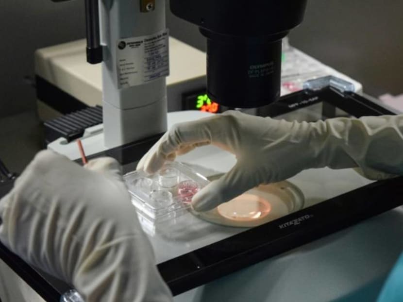 White Paper on Women’s Development: Women can undergo elective egg freezing regardless of marital status White Paper on Women’s Development: Women can undergo elective egg freezing regardless of marital status