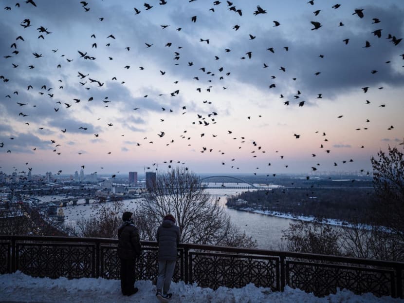 A flock of crows flies over downtown Kyiv, Ukraine on Dec 6, 2022.