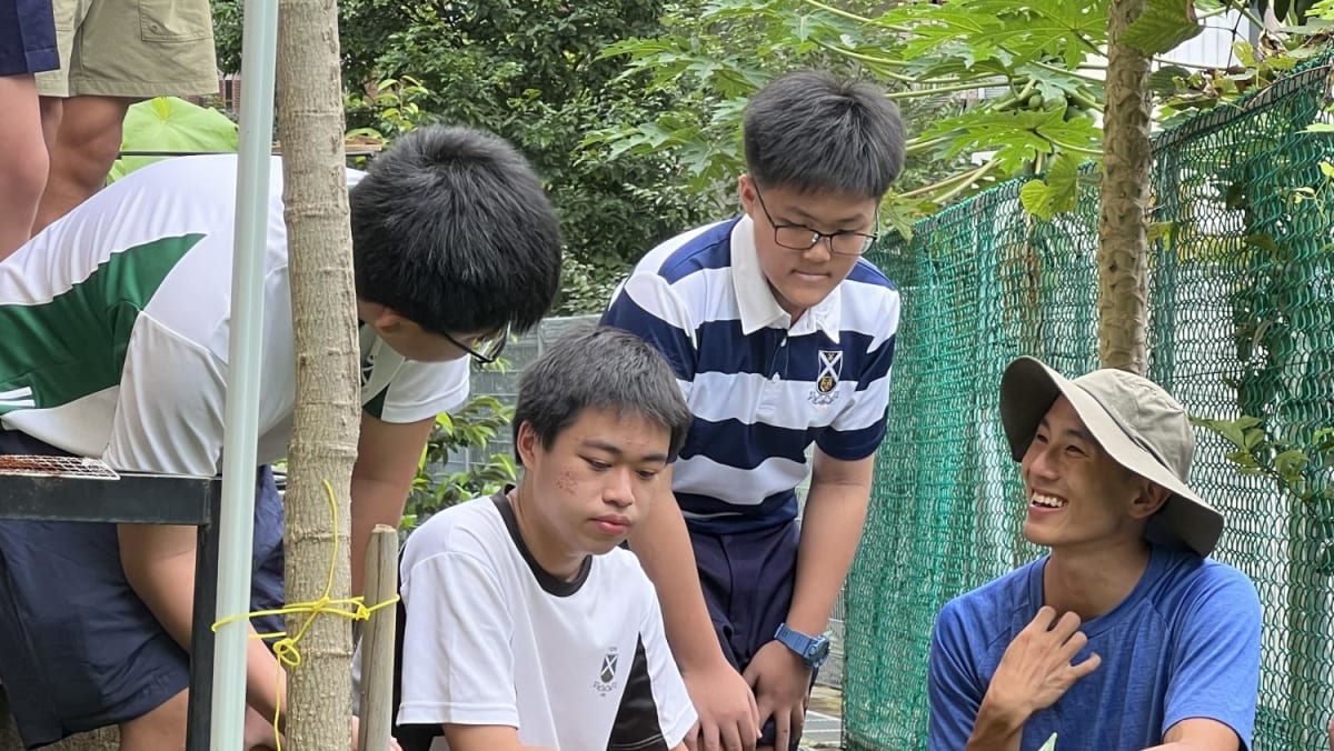 Growing Wild - Start Them Young - Vimarsana News