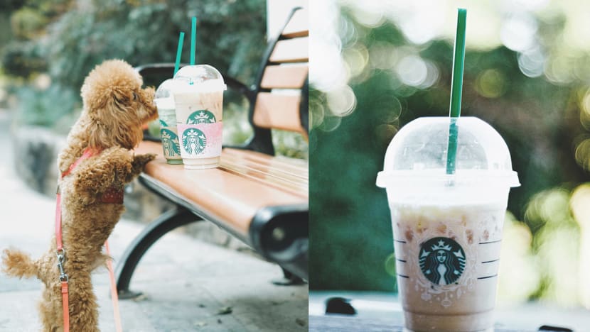 Do Not Ask For Plastic Straws At Starbucks And These Other Places