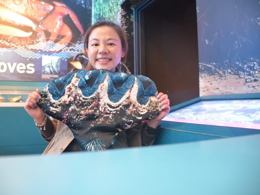 The author with a giant clam cushion at the Western Australia Museum. In her 15 years researching giant clams, she has experienced self-doubt which led to question her decisions to get a doctorate degree and pursue a career in science.