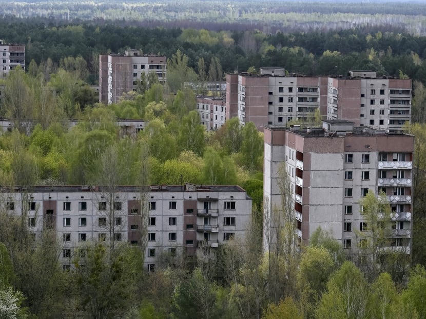 Gallery: Chernobyl zone turns into testbed for Nature’s rebound