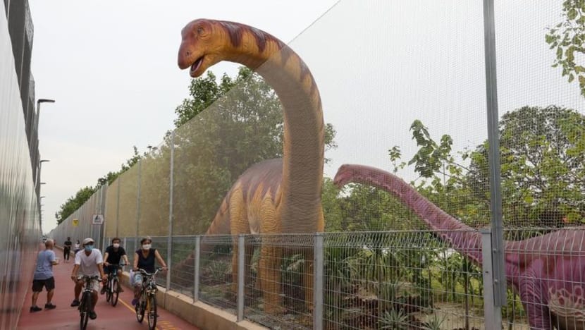 Jaring dipasang di Changi Jurassic Mile setelah pengunjung cedera terkena bola golf
