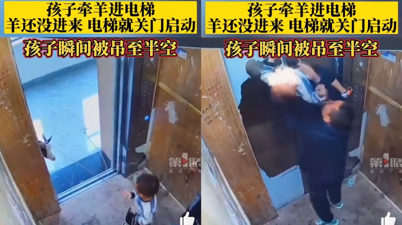 四川男童牵羊搭电梯 被绳子吊至半空