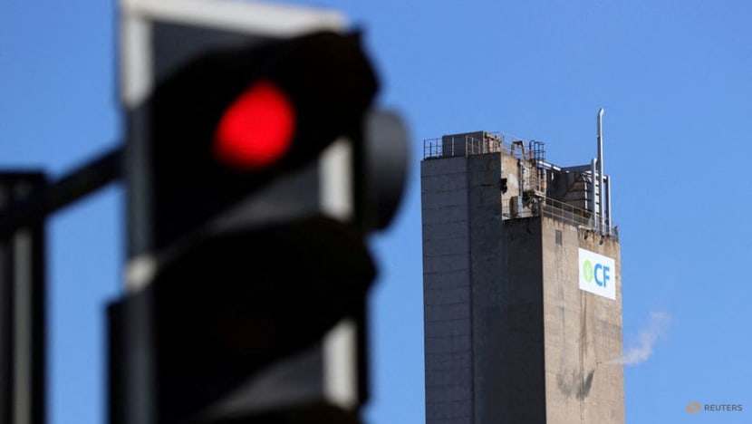 CF Industries sees US$2 billion price tag for US low-carbon ammonia plant CF Industries sees US$2 billion price tag for US low-carbon ammonia plant