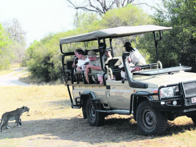 Into the wild: Should safaris be luxe or not?