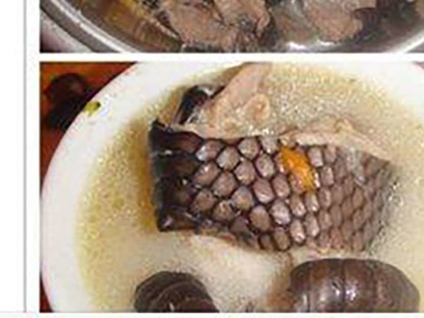 The social media post shows what appears to be cooked pangolin. Photo: Handout/South China Morning Post