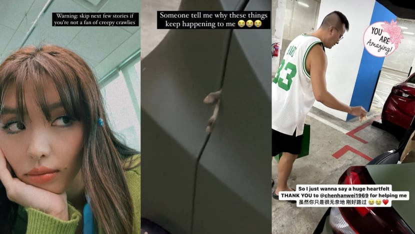 Chen Hanwei Helps YES933 DJ Hazelle Teo Remove Dead Lizard She Accidentally Crushed With Her Car Door Chen Hanwei Helps YES933 DJ Hazelle Teo Remove Dead Lizard She Accidentally Crushed With Her Car Door