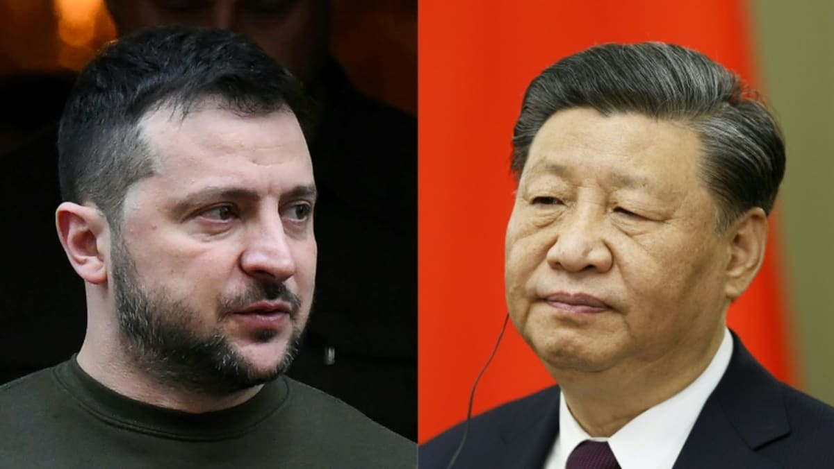 Beijing-led talks on Ukraine a 'trap' for the West: Analysts
