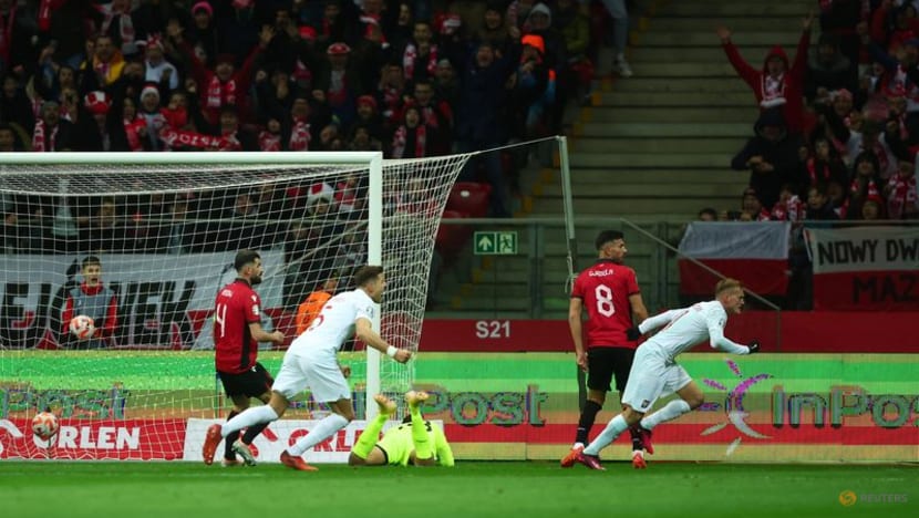 Poland's Swiderski secures 1-0 win over Albania in Euro qualifier