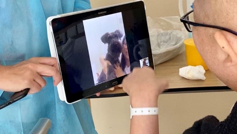 Make-believe outings and virtual pet therapy: Hospices get creative to bring patients joy during circuit breaker Make-believe outings and virtual pet therapy: Hospices get creative to bring patients joy during circuit breaker