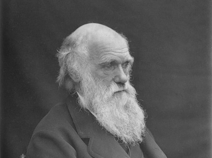 A photograph of Charles Darwin taken around 1874 by Leonard Darwin. Photo: Wikimedia Commons/Public Domain