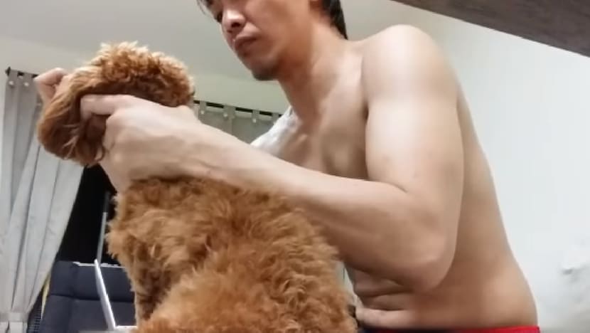 Man who filmed cousin abusing poodle fined for failing to stop the torture