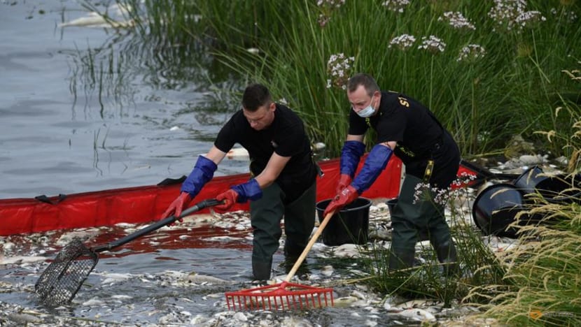 Poland says Oder tests so far not showing poison as cause of fish die-off