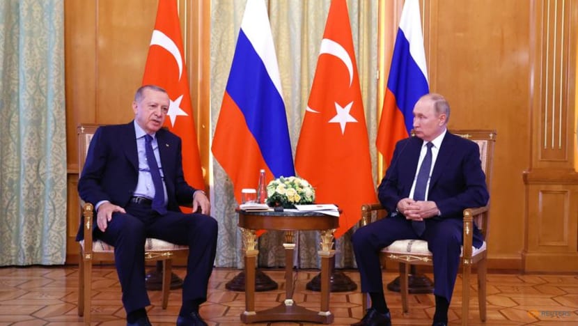 Putin and Erdogan agree to boost cooperation, some rouble payments for gas Putin and Erdogan agree to boost cooperation, some rouble payments for gas