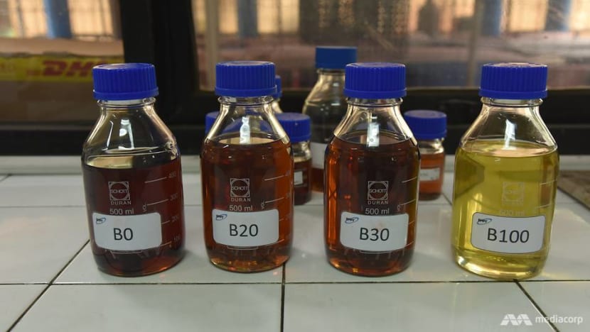 Indonesia's B30 biodiesel plan a boost to domestic palm oil consumption