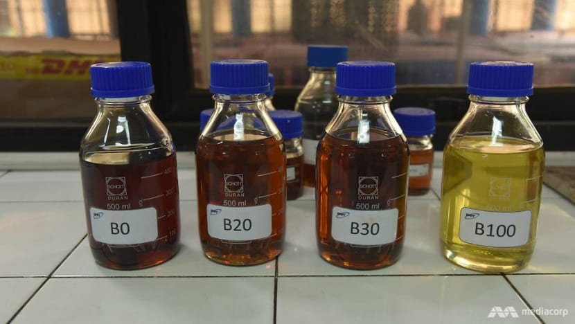 Indonesia's B30 biodiesel plan a boost to domestic palm oil consumption Indonesia's B30 biodiesel plan a boost to domestic palm oil consumption